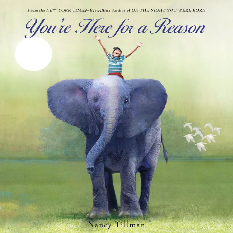 Exquisite Craftsmanship You're Here for a Reason Book By Nancy Tillman